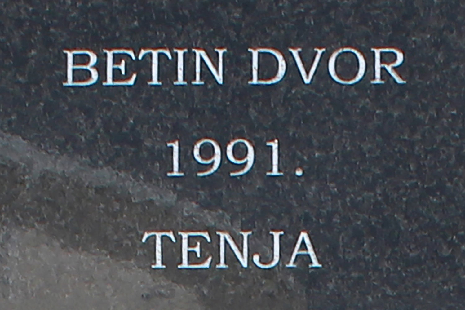 betin dvor 1991 tenja