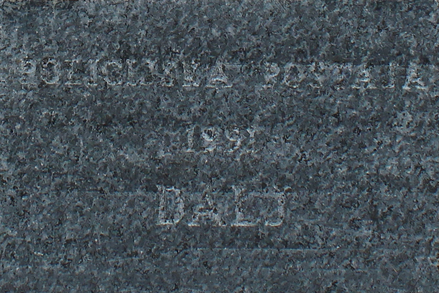 policijska postaja 1991 dalj